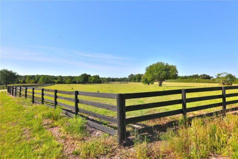 Villa ou maison à vendre à Weirsdale, Floride: 2 chambres, 135.45 m2 № 1550793 - photo 25