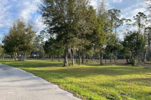 Villa ou maison à vendre à Weirsdale, Floride: 2 chambres, 135.45 m2 № 1550793 - photo 24