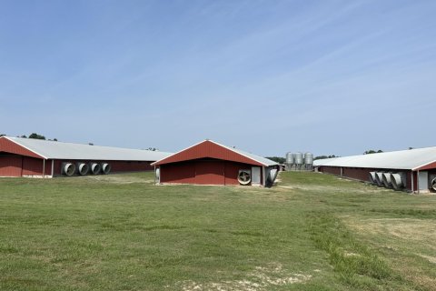 Commercial property in MC Alpin, Florida № 767910 - photo 1