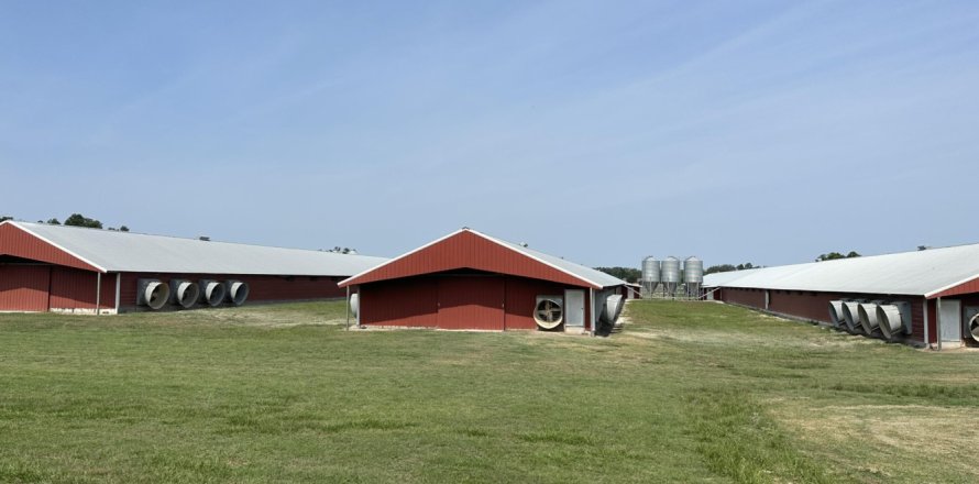 Commercial property in MC Alpin, Florida № 767910