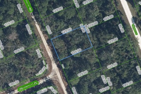 Propiedad comercial en Lake Placid, Florida № 2169578