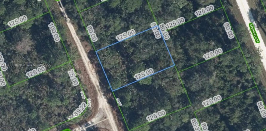 Propiedad comercial en Lake Placid, Florida № 2169578