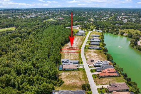 Terreno en venta en Palm Coast, Florida № 1335571 - foto 6