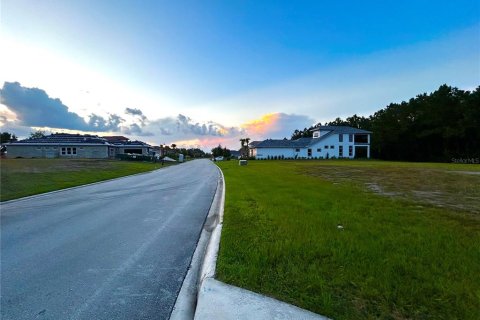 Terreno en venta en Palm Coast, Florida № 1335571 - foto 14