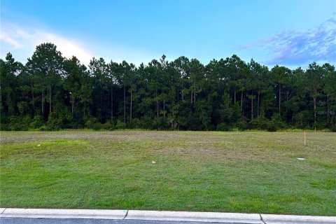 Terreno en venta en Palm Coast, Florida № 1335571 - foto 11