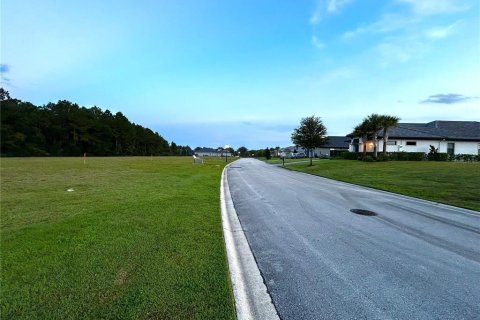 Terreno en venta en Palm Coast, Florida № 1335571 - foto 13