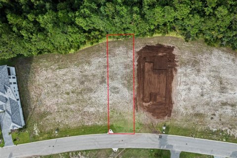 Terreno en venta en Palm Coast, Florida № 1335571 - foto 3