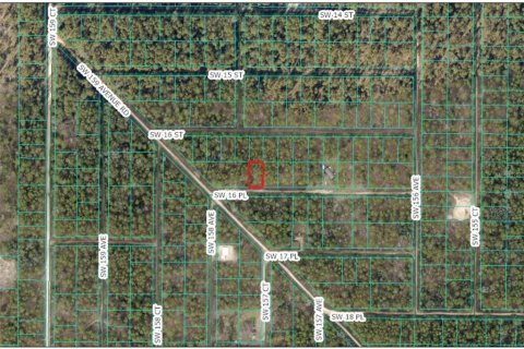 Land in Ocala, Florida № 2224598 - photo 3