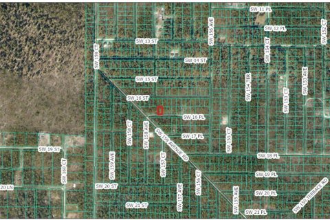 Land in Ocala, Florida № 2224598 - photo 2