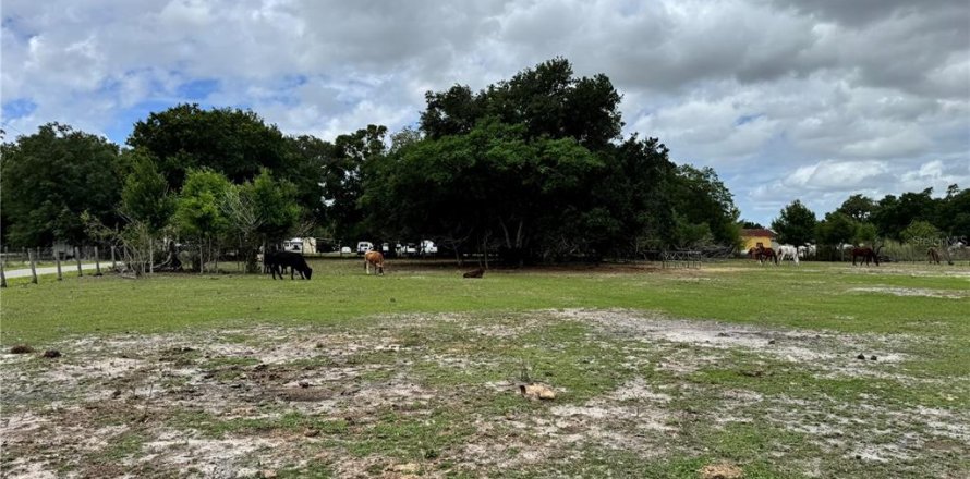 Terrain à Bradenton, Floride № 2167416