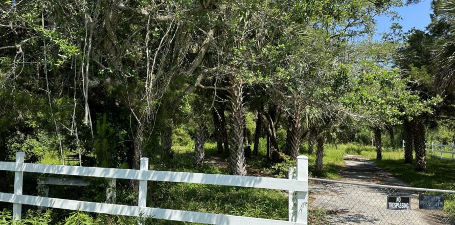 Land in Freeport, Florida № 561905