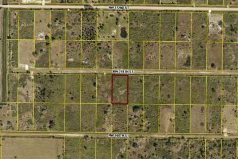 Land in Okeechobee, Florida № 2159675 - photo 2