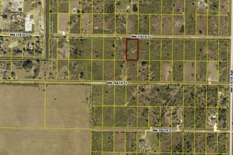 Land in Okeechobee, Florida № 2159675 - photo 3