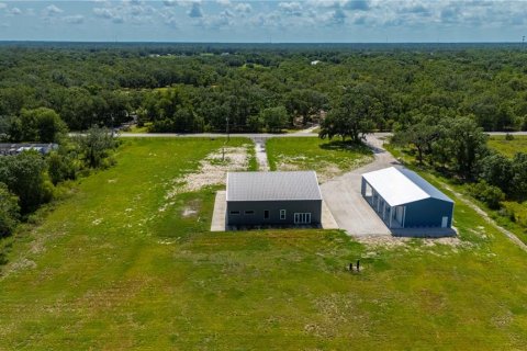House in Arcadia, Florida 1 bedroom, 334.45 sq.m. № 1881098 - photo 25