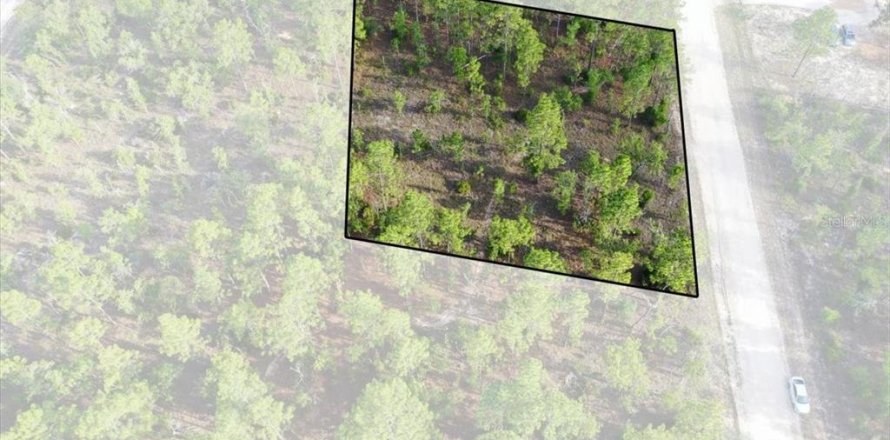 Land in Williston, Florida № 2208710