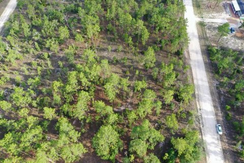 Land in Williston, Florida № 2208710 - photo 3