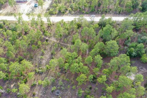 Land in Williston, Florida № 2208710 - photo 5