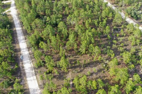 Land in Williston, Florida № 2208710 - photo 7