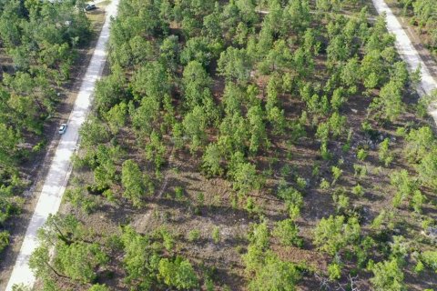 Land in Williston, Florida № 2208710 - photo 6