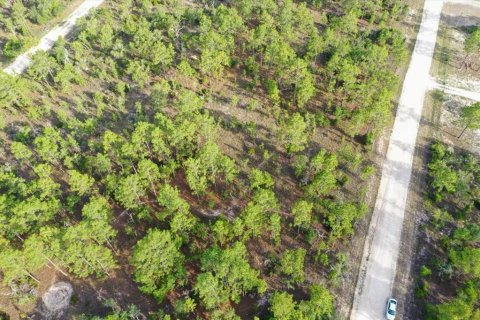 Land in Williston, Florida № 2208710 - photo 2