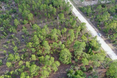 Land in Williston, Florida № 2208710 - photo 4