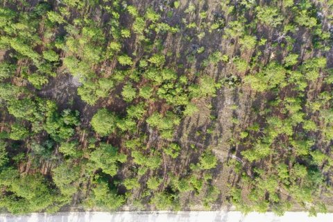 Land in Williston, Florida № 2208710 - photo 8