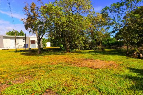 Villa ou maison à louer à Miami, Floride: 2 chambres, 66.89 m2 № 1999346 - photo 17