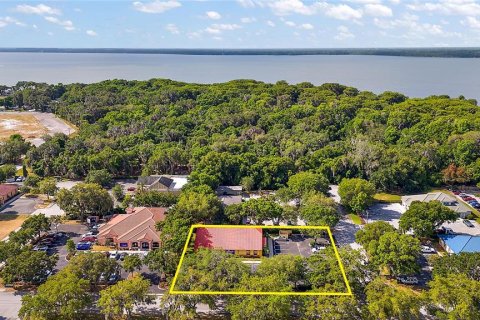 Immobilier commercial à vendre à Leesburg, Floride: 374.21 m2 № 1169643 - photo 10