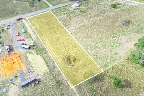 Land in Frostproof, Florida № 1553869 - photo 5