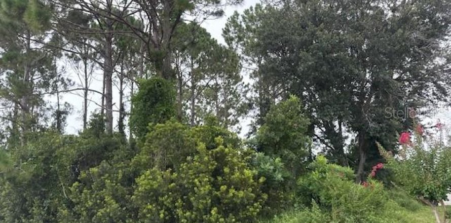 Land in Palm Coast, Florida № 1832181