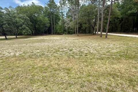 Terrain à vendre à Ocala, Floride № 2208713 - photo 4