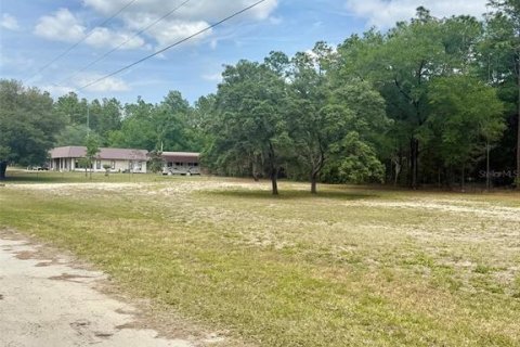 Terrain à vendre à Ocala, Floride № 2208713 - photo 2