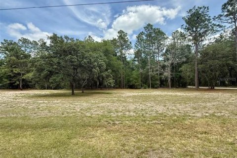 Land in Ocala, Florida № 2208713