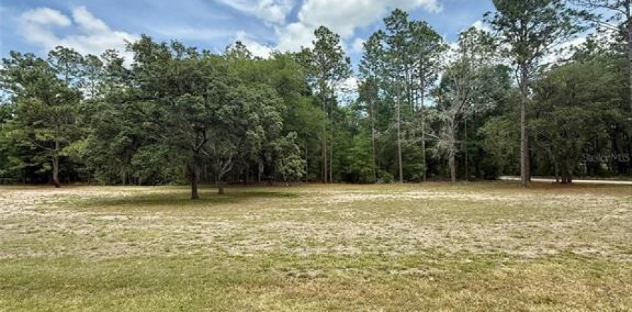 Terrain à Ocala, Floride № 2208713