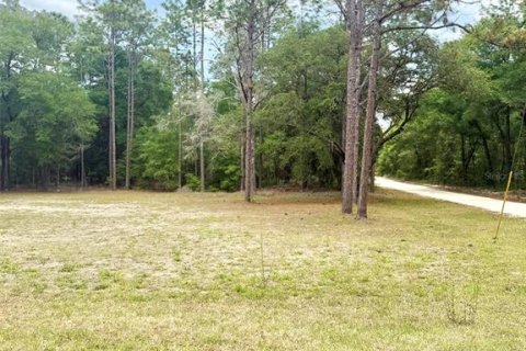 Terrain à vendre à Ocala, Floride № 2208713 - photo 3