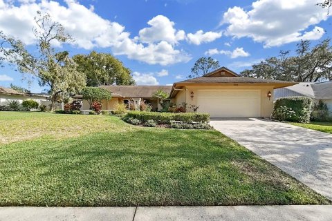 House in Seffner, Florida 4 bedrooms, 244.8 sq.m. № 2195594 - photo 8