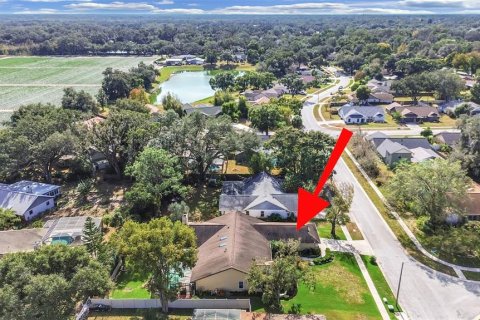 House in Seffner, Florida 4 bedrooms, 244.8 sq.m. № 2195594 - photo 5