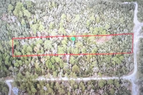 Land in Osteen, Florida № 1827906 - photo 1