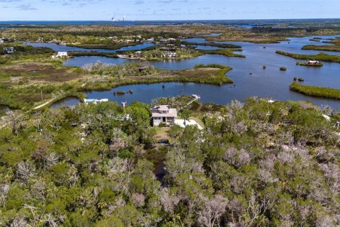 Villa ou maison à vendre à Crystal River, Floride: 3 chambres, 221.01 m2 № 1634703 - photo 3