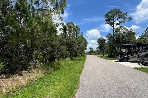 Land in Punta Gorda, Florida № 2161849 - photo 3