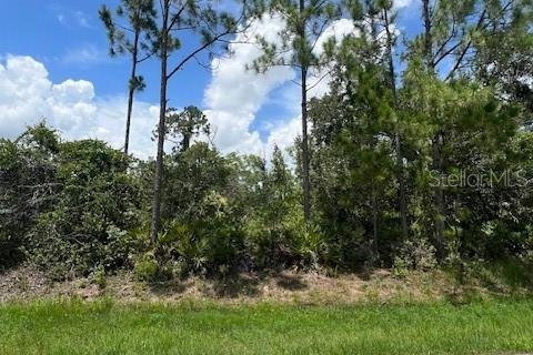 Land in Punta Gorda, Florida № 2161849 - photo 2