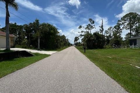 Land in Punta Gorda, Florida № 2161849 - photo 4