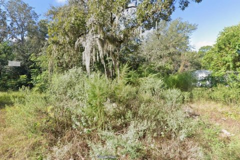 Land in New Port Richey, Florida № 2162054