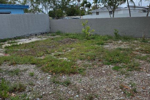 Casa en venta en Homestead, Florida, 4 dormitorios, 159.88 m2 № 2169952 - foto 5