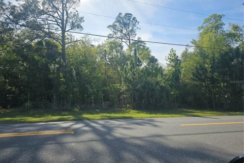 Terrain à Kissimmee, Floride № 2127755