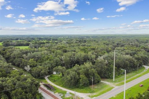 Terrain à vendre à Zephyrhills, Floride № 1917038 - photo 6