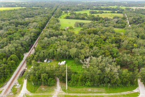 Terrain à vendre à Zephyrhills, Floride № 1917038 - photo 5