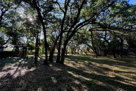 Land in Dania Beach, Florida № 1867881 - photo 3