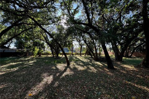Land in Dania Beach, Florida № 1867881 - photo 2