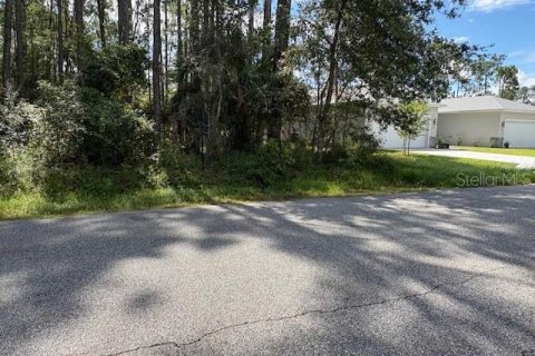 Terreno en venta en Palm Coast, Florida № 2166176 - foto 2